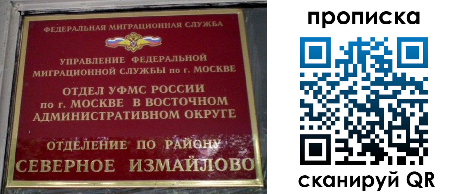 купить прописку в Щёкино