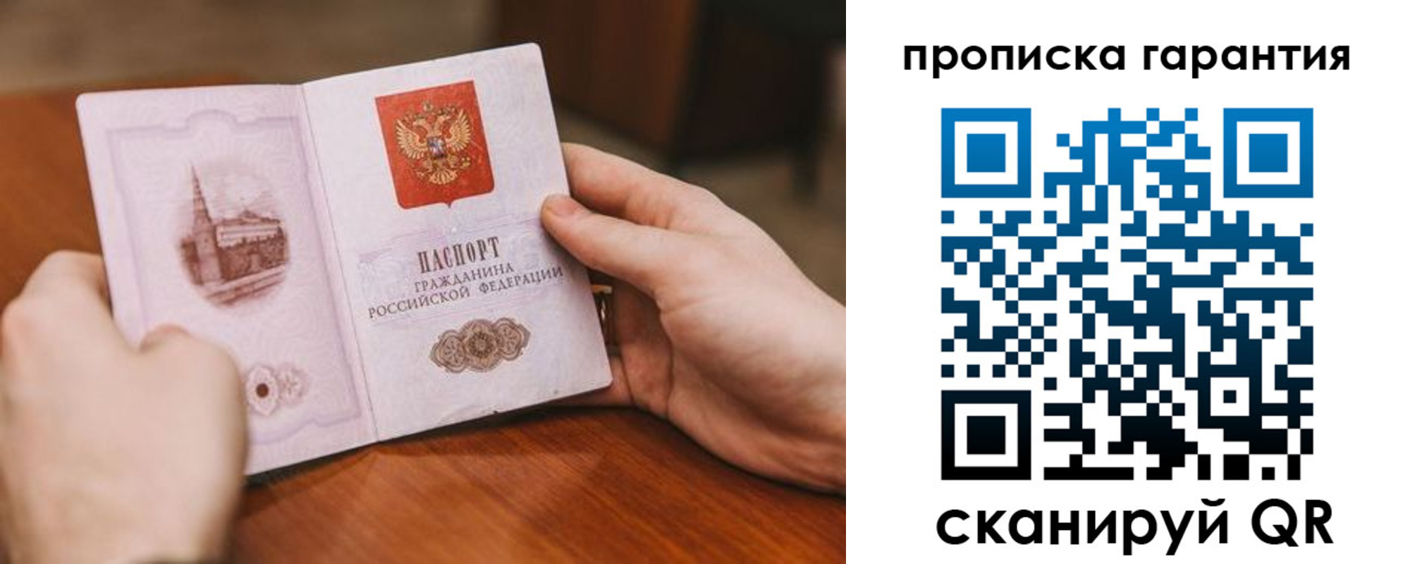 прописка поиск в Щёкино